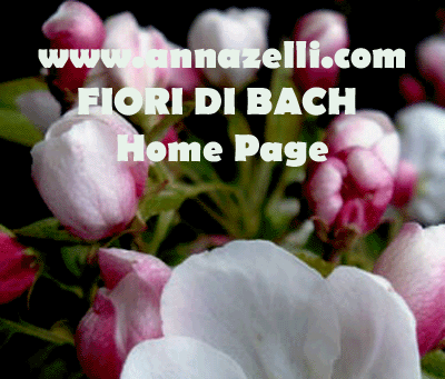 fiori di bach mappa argomenti, www.annazelli.com