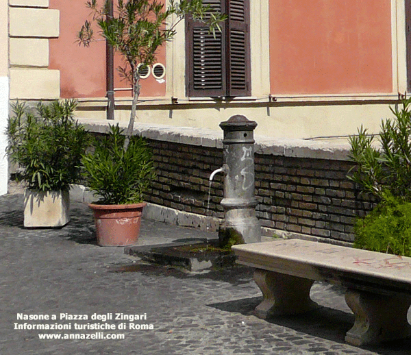 FOTO I NASONI DI ROMA
