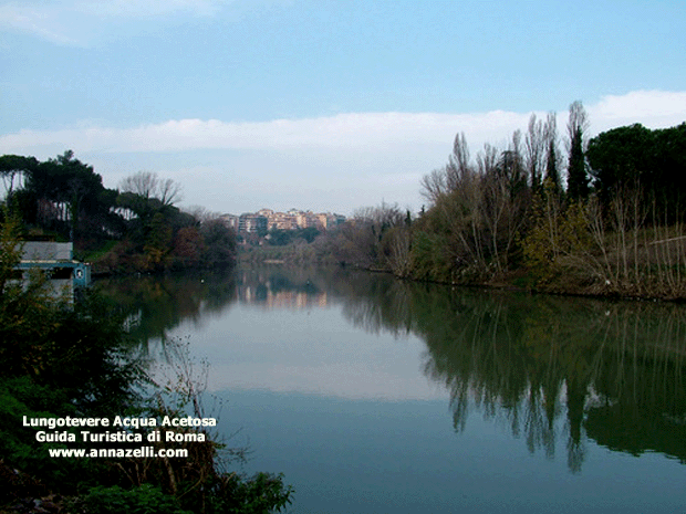 FOTO LUNGOTEVERE ACQUA ACETOSA