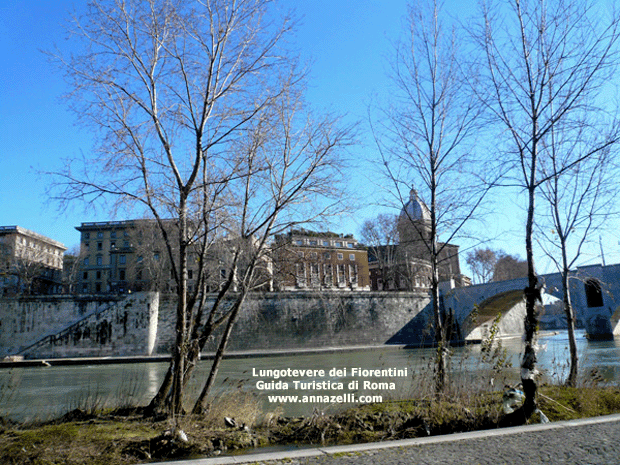 FOTO LUNGOTEVERE DEI FIORENTINI ROMA