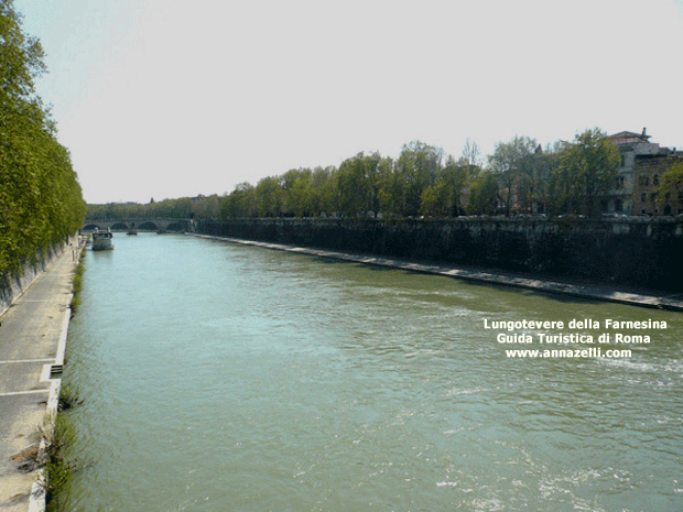 FOTO LUNGOTEVERE DELLA FARNESINA ROMA