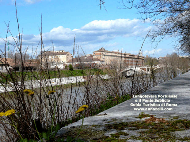 FOTO LUNGOTEVERE PORTUENSE ROMA