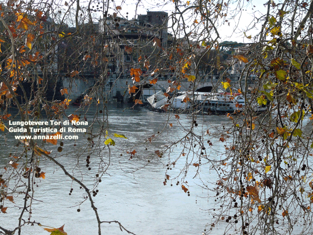 FOTO LUNGOTEVERE TOR DI NONA ROMA