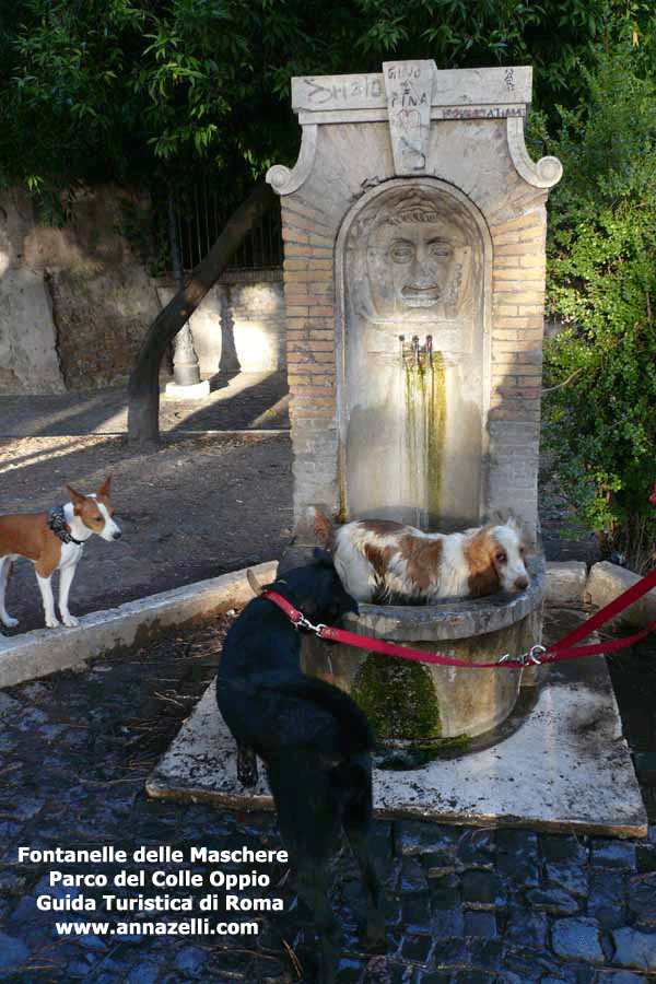Fontanelle delle Maschere, viale Fortunato Mizzi, colle Oppio, Roma