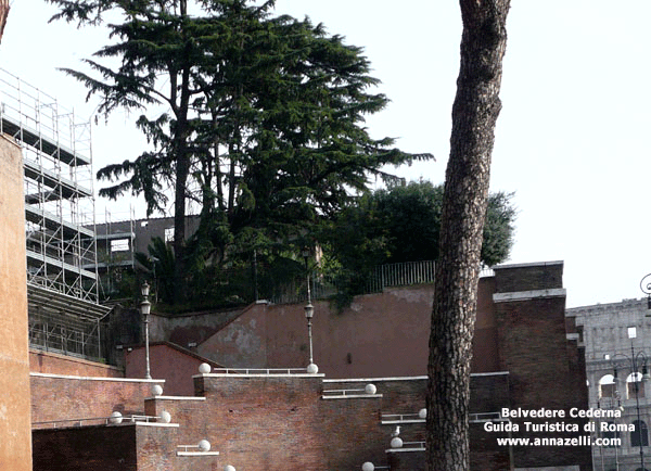 IL BELVEDERE CEDERNA ROMA