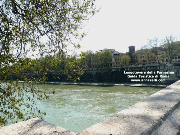 Lungotevere della Farnesina (Roma)