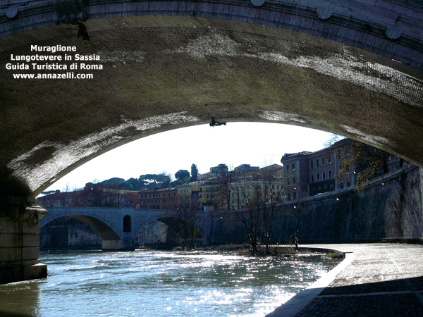 MURAGLIONE LUNGOTEVERE IN SASSIA ROMA