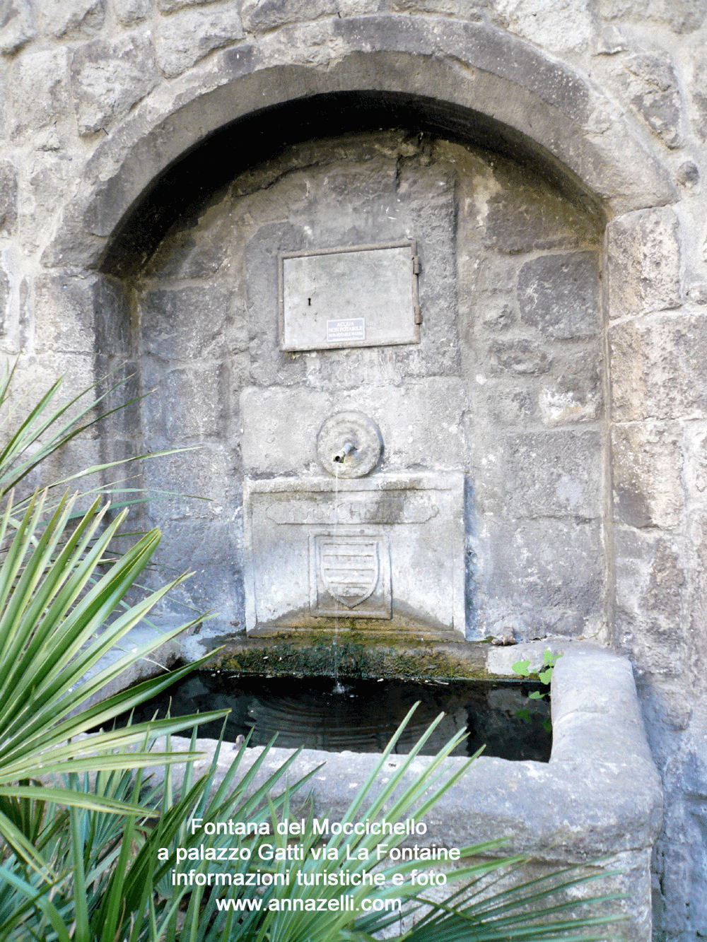 FOTO FONTANA DEL MOCCICHELLO PALAZZO GATTI VIA LA FONTAINE VITERBO INFORMAZIONI