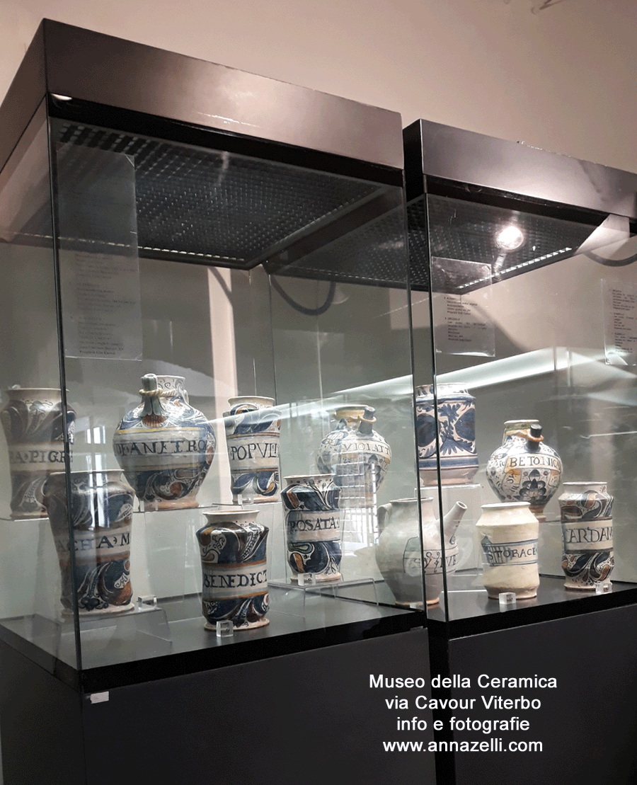 FOTO MUSEO DELLA CERAMICA VIA CAVOUR VITERBO INFORMAZIONI