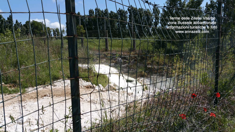 VITERBO FOTO TERME DELLE ZITELLE FOTO 6