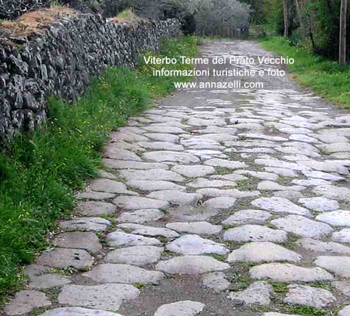 VITERBO FOTO TERME DEL PRATO VECCHIO