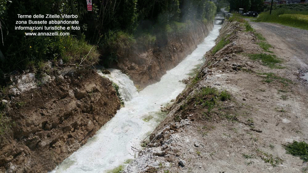 Viterbo Terme delle Zitelle Foto 3