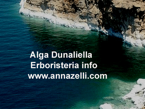 ALGA DUNALIELLA,PIANTA, ERBORISTERIA