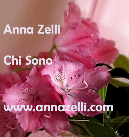 Anna Zelli chi sono - www.annazelli.com