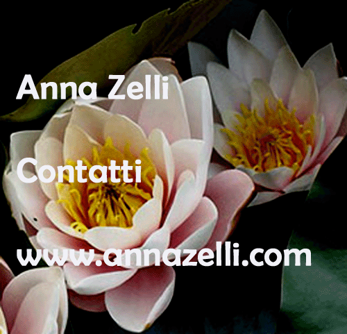 Anna Zelli Contatti, www.annazelli.com