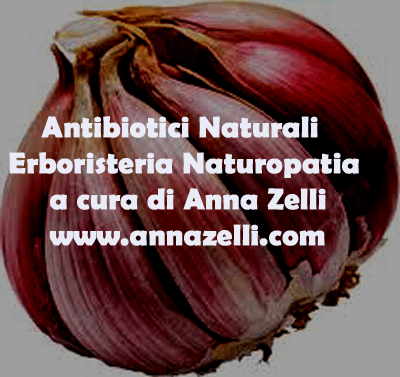 ANTIBIOTICI NATURALI,ERBORISTERIA,NATUROPATIA