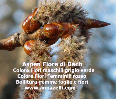 ASPEN COLORE DEL FIORE DI BACH