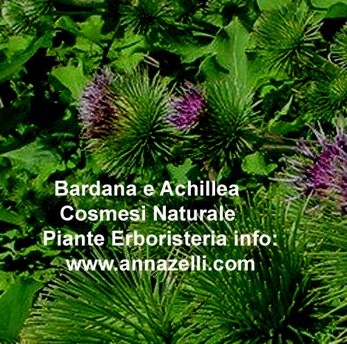 BARDANA ACHILLEA,COSMESI NATURALE,PIANTE,ERBORISTERIA
