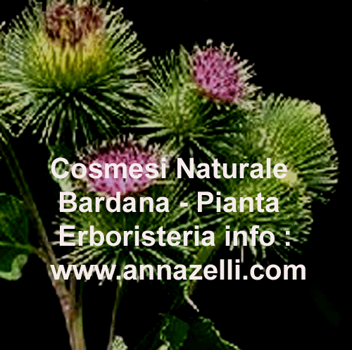 BARDANA, COSMESI NATURALE, PIANTA, ERBORISTERIA