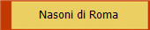 Nasoni di Roma