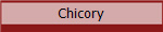 Chicory