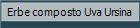 Erbe composto Uva Ursina