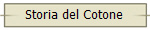 Storia del Cotone