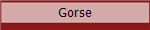 Gorse