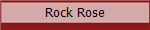 Rock Rose