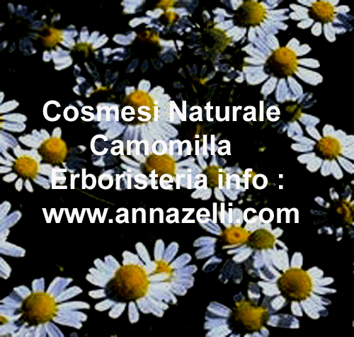 CAMOMILLA,COSMESI NATURALE,PIANTA,ERBORISTERIA