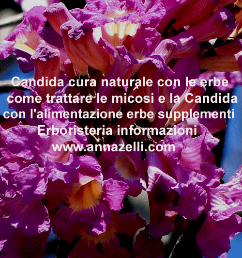 CANDIDA FITOTERAPIA,CURA NATURALE CON LE ERBE, ERBORISTERIA