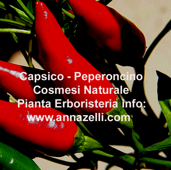 CAPSICO PEPERONCINO,COSMESI NATURALE,PIANTA, ERBORISTERIA