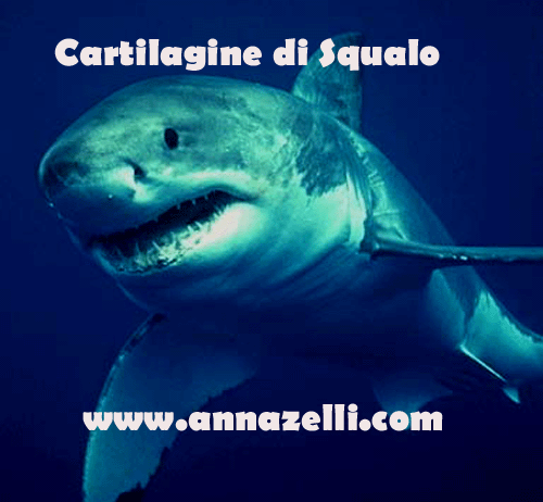 cartilagine di squalo, erboristeria
