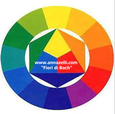 CERCHIO  DEI COLORI E FIORI DI BACH