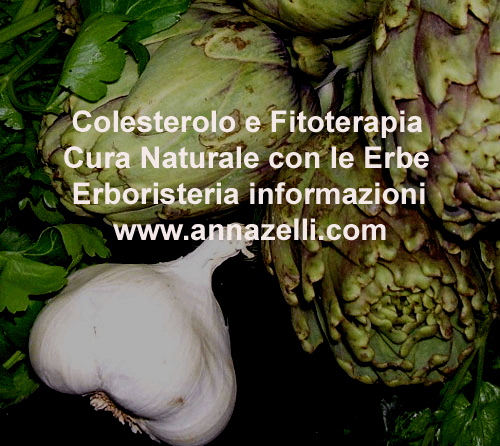 COLESTEROLO FITOTERAPIA,CURA NATURALE CON LE ERBE, ERBORISTERIA