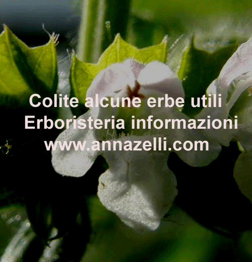 COLITE ERBE UTILI, PIANTE,COLITE,,ERBORISTERIA