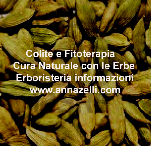 COLITE FITOTERAPIA,CURA NATURALE CON LE ERBE, ERBORISTERIA