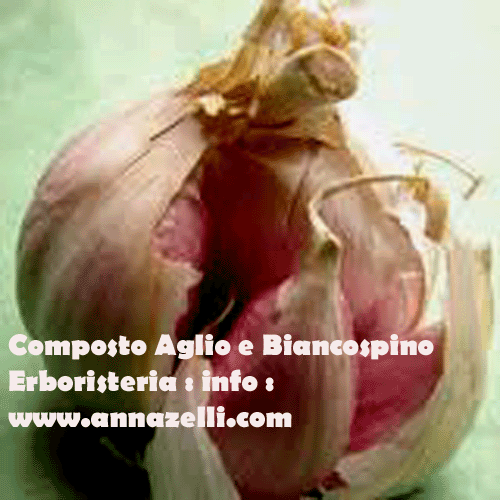 COMPOSTO AGLIO BIANCOSPINO, PIANTE, ERBORISTERIA
