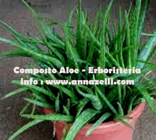 COMPOSTO ALOE, ERBORISTERIA