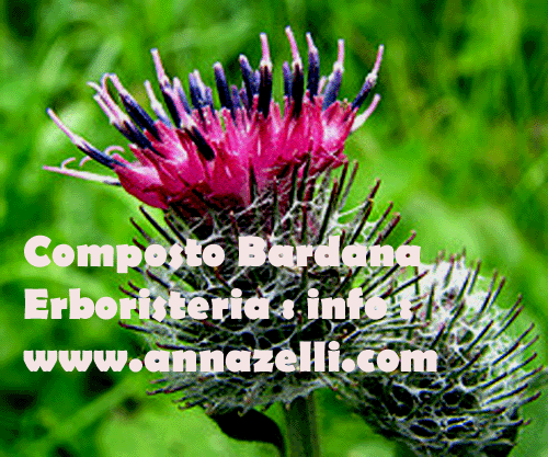 COMPOSTO BARDANA,ERBORISTERIA