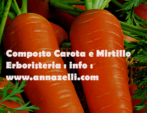 COMPOSTO CAROTA E MIRTILLO, ERBORISTERIA