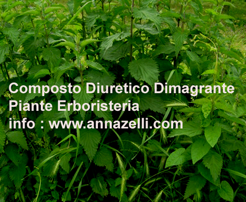 ERBE, COMPOSTO DIURETICO DIMAGRANTE, ERBORISTERIA