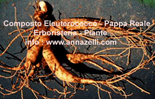 ERBE,COMPOSTO ELEITEROCOCCO PAPPA REALE, PIANTE, ERBORISTERIA