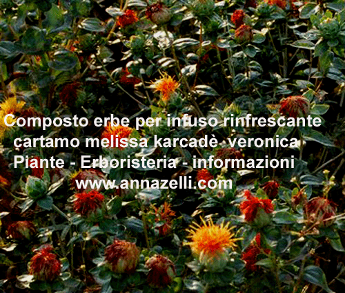 ERBE, INFUSO, COMPOSTO RINFRESCANTE,DEPURATIVO. PIANTE, ERBORISTERIA