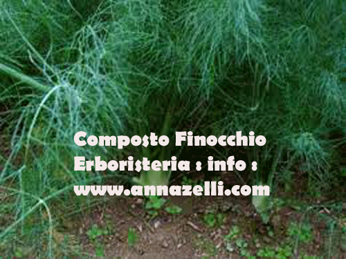 COMPOSTO FINOCCHIO, ERBORISTERIA