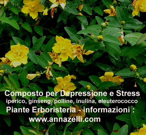 ERBE,COMPOSTO DEPRESSIONE STRESS, PIANTE. ERBORISTERIA