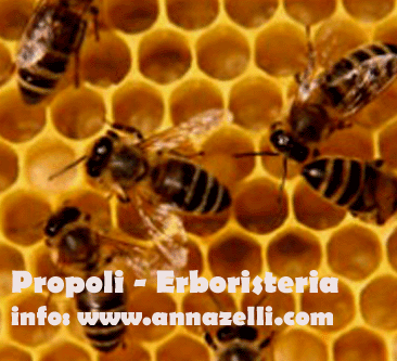 COMPOSTO PROPOLI, ERBORISTERIA