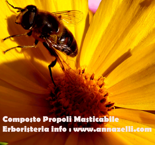 COMPOSTO PROPOLI MASTICABILE, ERBORISTERIA