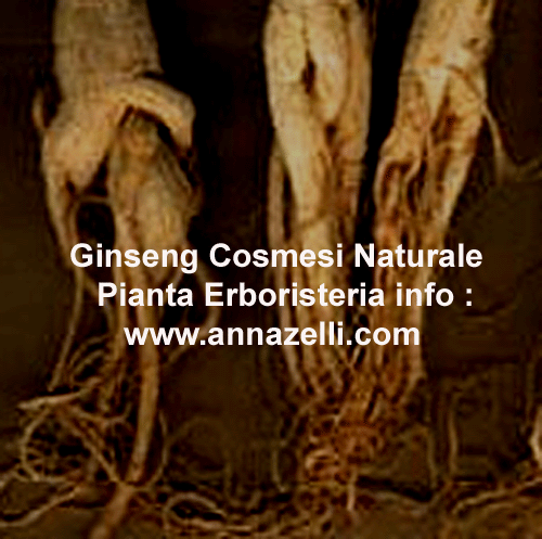 GINSENG, COSMESI NATURALE, PIANTA, ERBORISTERIA