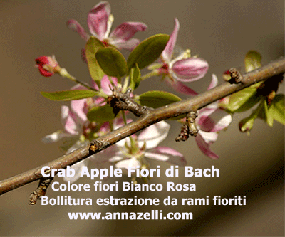 COLORE FIORI CRAB APPLE FIORE DI BACH